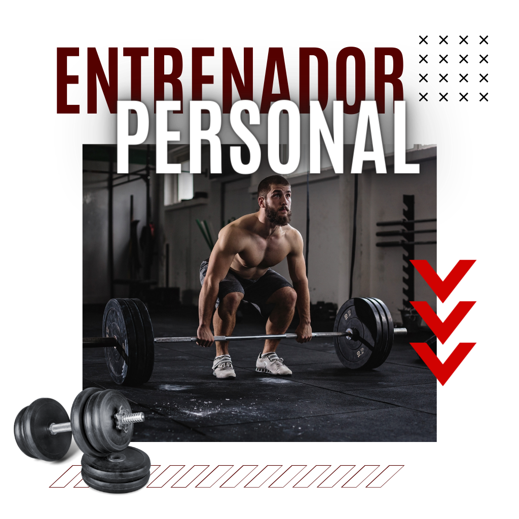 Gráficos Entrena Fitness Cuba (1)